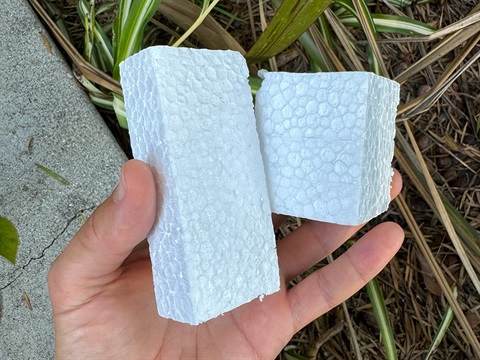 Point of view of holding styrofoam found on the ground