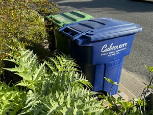 Culver City blue recycling bin on a sidewalk
