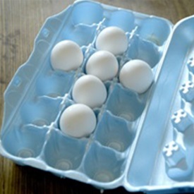 polystyrene-egg-carton-sq.jpg